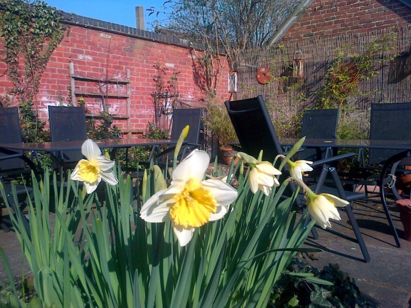 La Fosse At Cranborne Bed & Breakfast Exterior foto