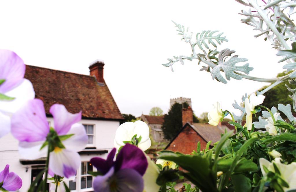 La Fosse At Cranborne Bed & Breakfast Exterior foto